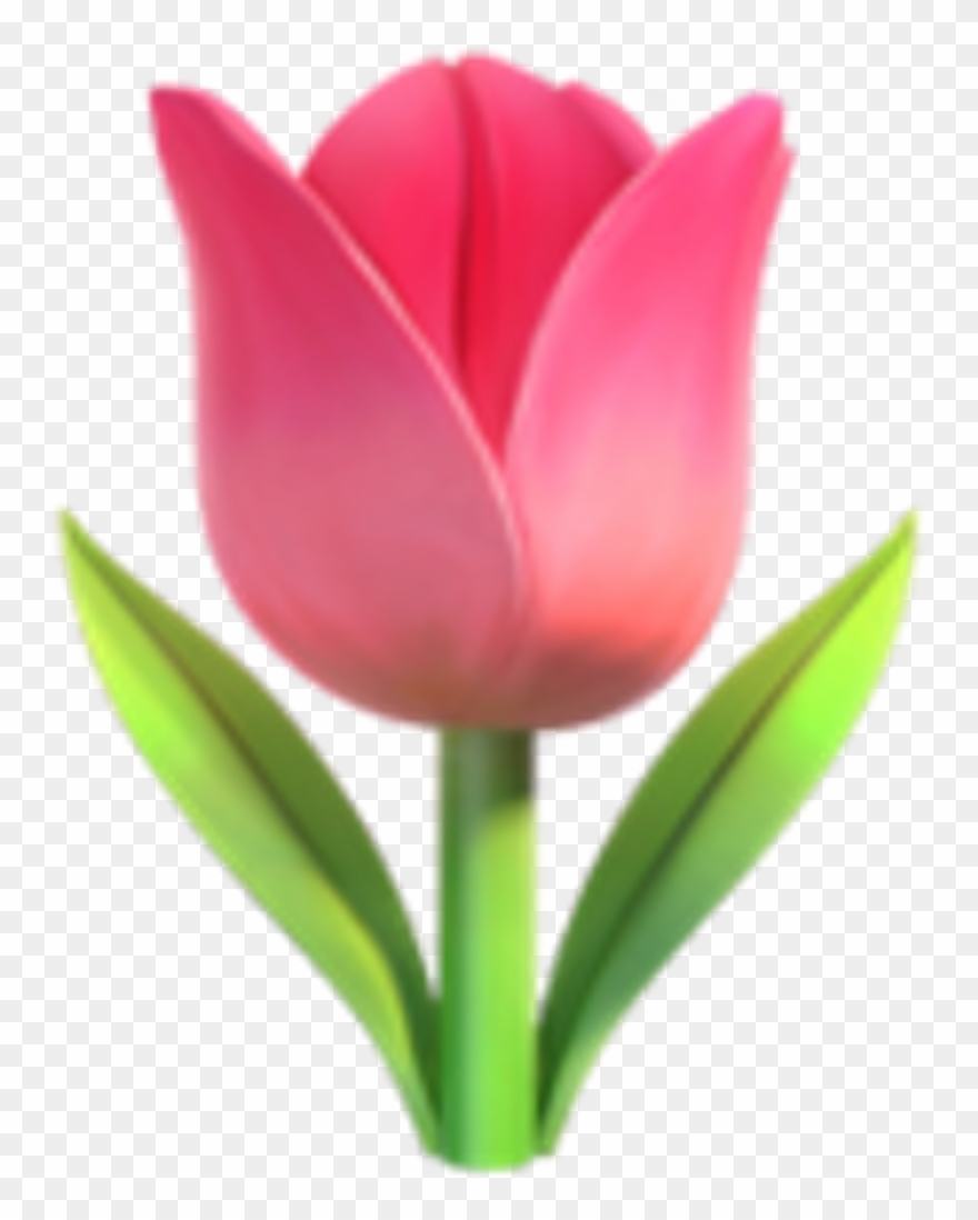 Iphone - Whatsapp Emoji Tulpe Clipart