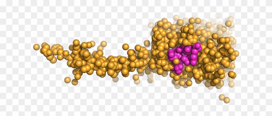 To Unravel The Smallest Population Of Stabilizing, - Illustration Clipart