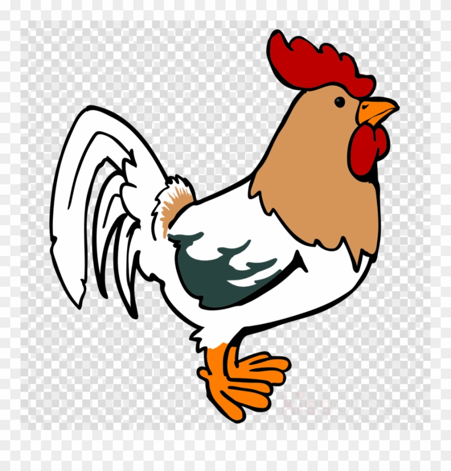 Chicken Cartoon Png Clipart Leghorn Chicken Foghorn - Rooster Cartoon Png Transparent Png
