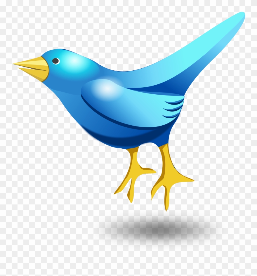 Bird Vector Png Clipart