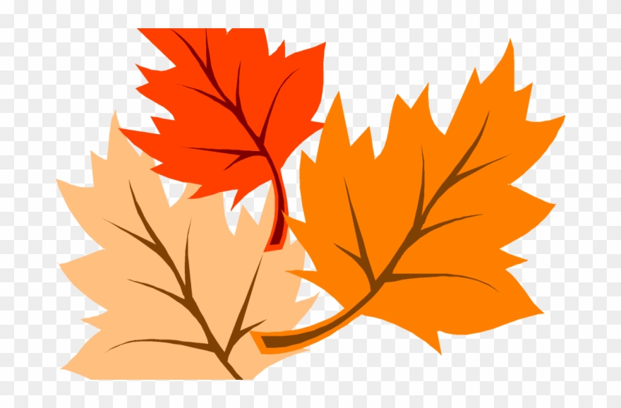 Fall - Dibujo De Hojas De Otoño Clipart