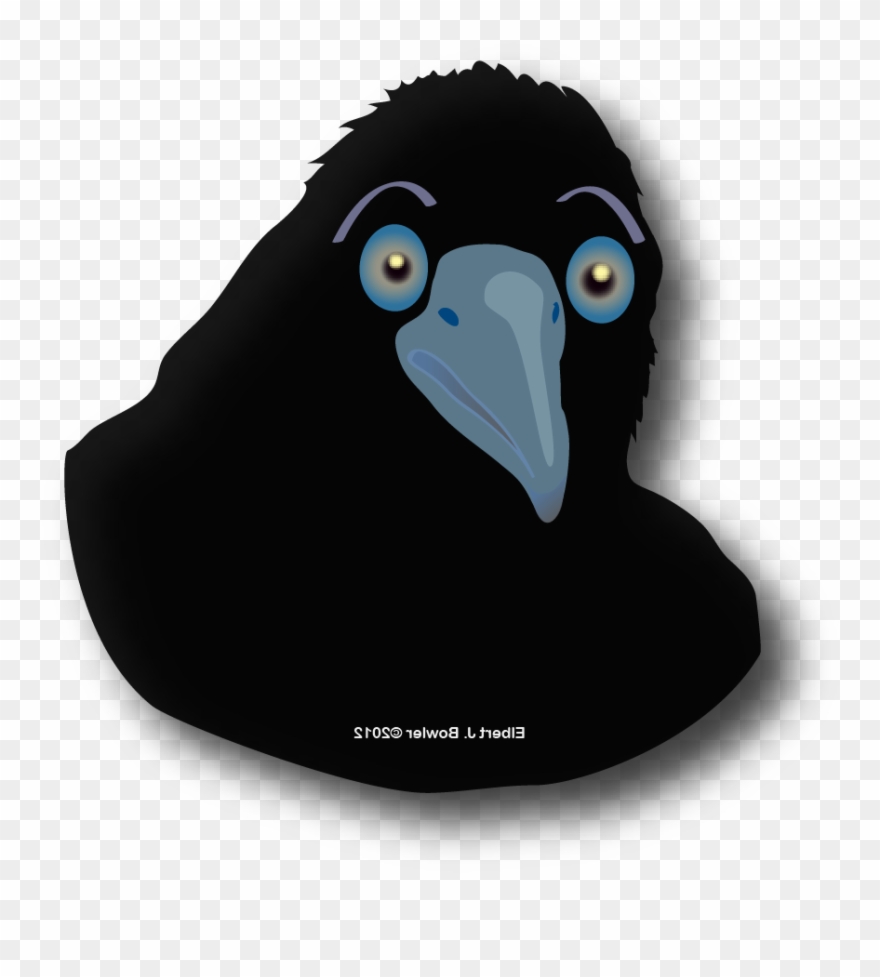 Want To Contribute To A Book And Companion Dvd Of Mt - Flightless Bird Clipart