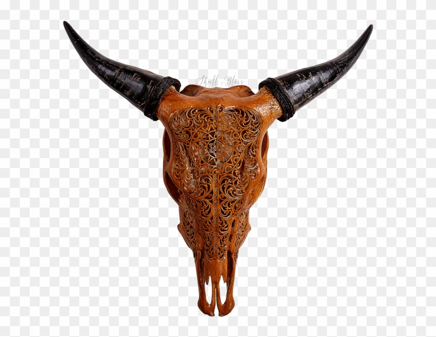 Carved Cow Skull - Cattle Clipart