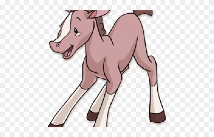 Foal Clipart Clip Art - Foal - Png Download