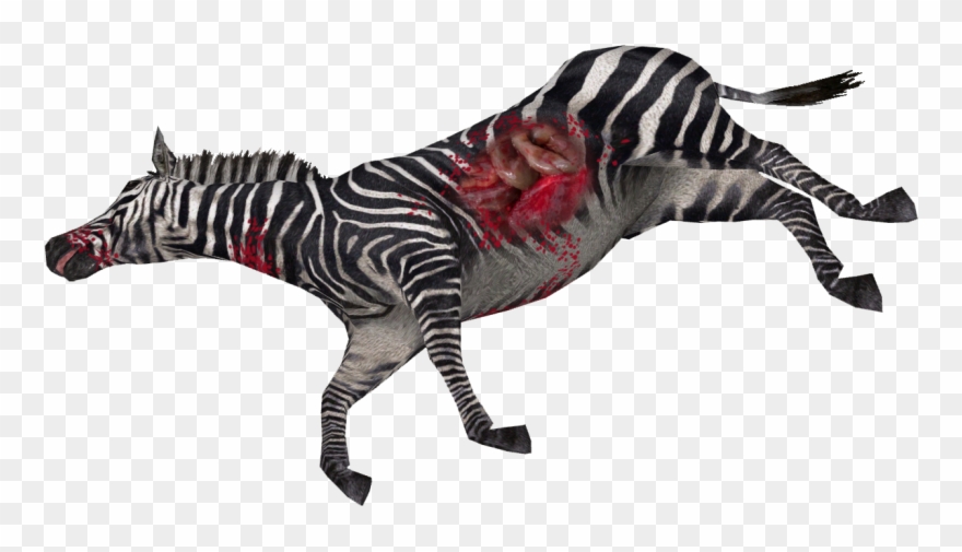 Dead Zebra - Quagga Clipart