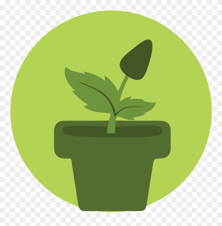 Plant Icon Clipart