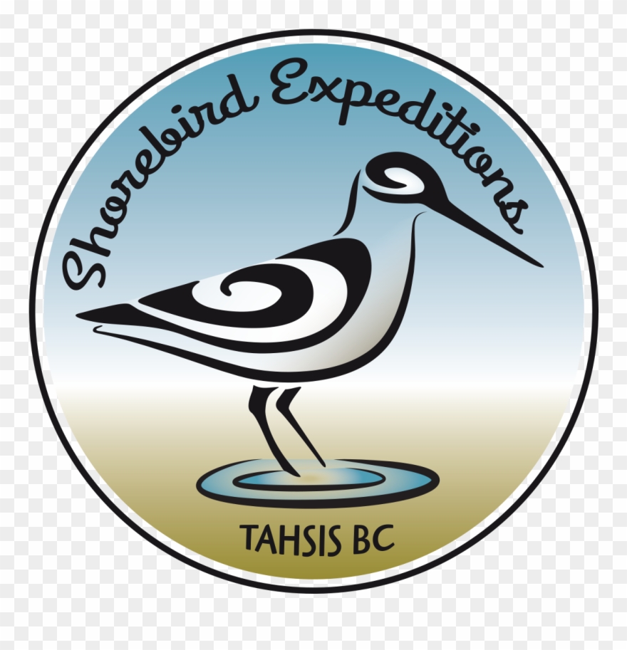Dive - Tahtsa Dive Charters Clipart