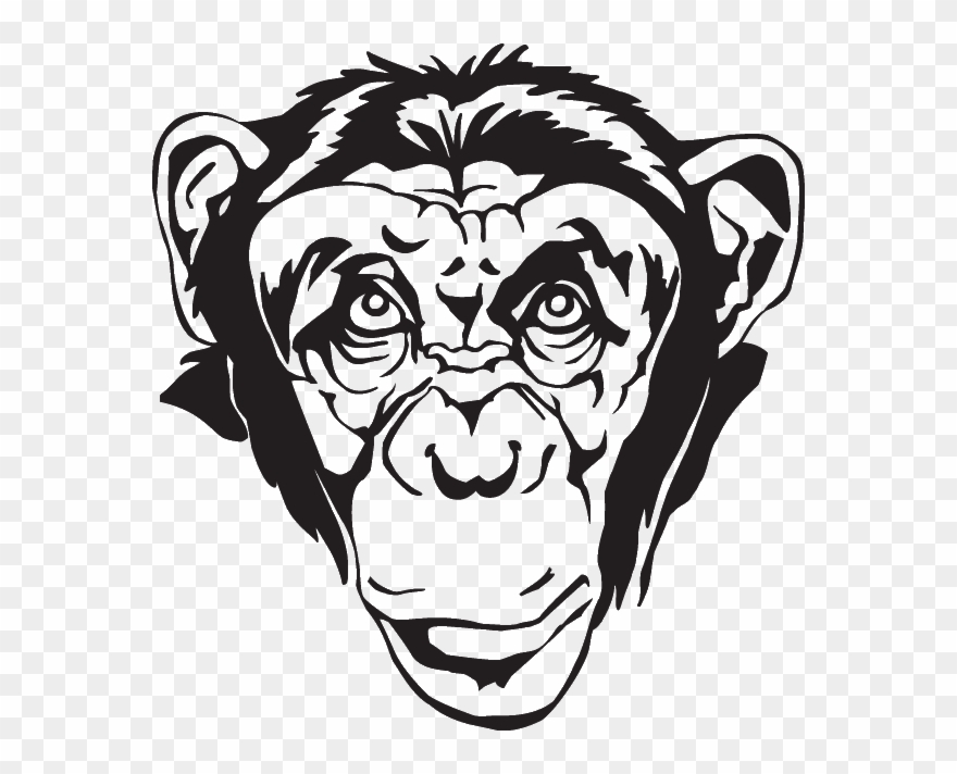 Chimpanzee Head Clipart - Png Download
