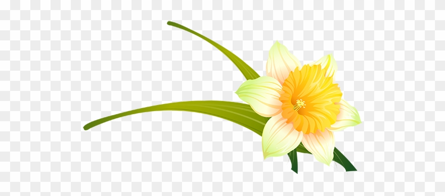 Clip Art - Free Vector Flowers - Png Download