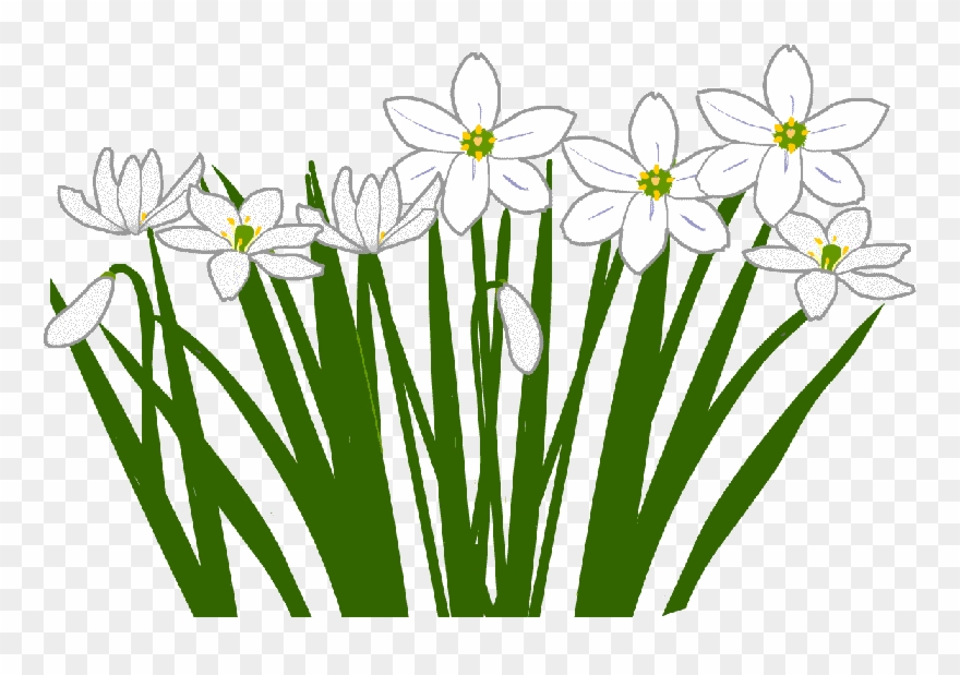 アマナ - Amana Holdings Inc. Clipart