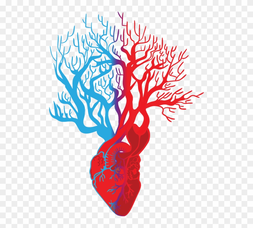 Interventional Cardiology & Endovascular Education - Illustration Clipart
