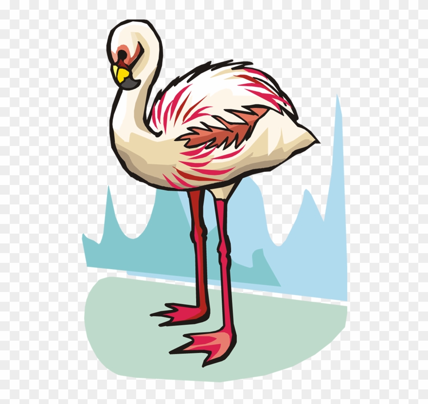 Flamingo Clipart - Clip Art - Png Download