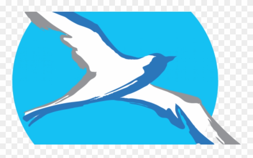 Migratory Birds And The Charm Of Lake Limboto - Burung Indonesia Clipart