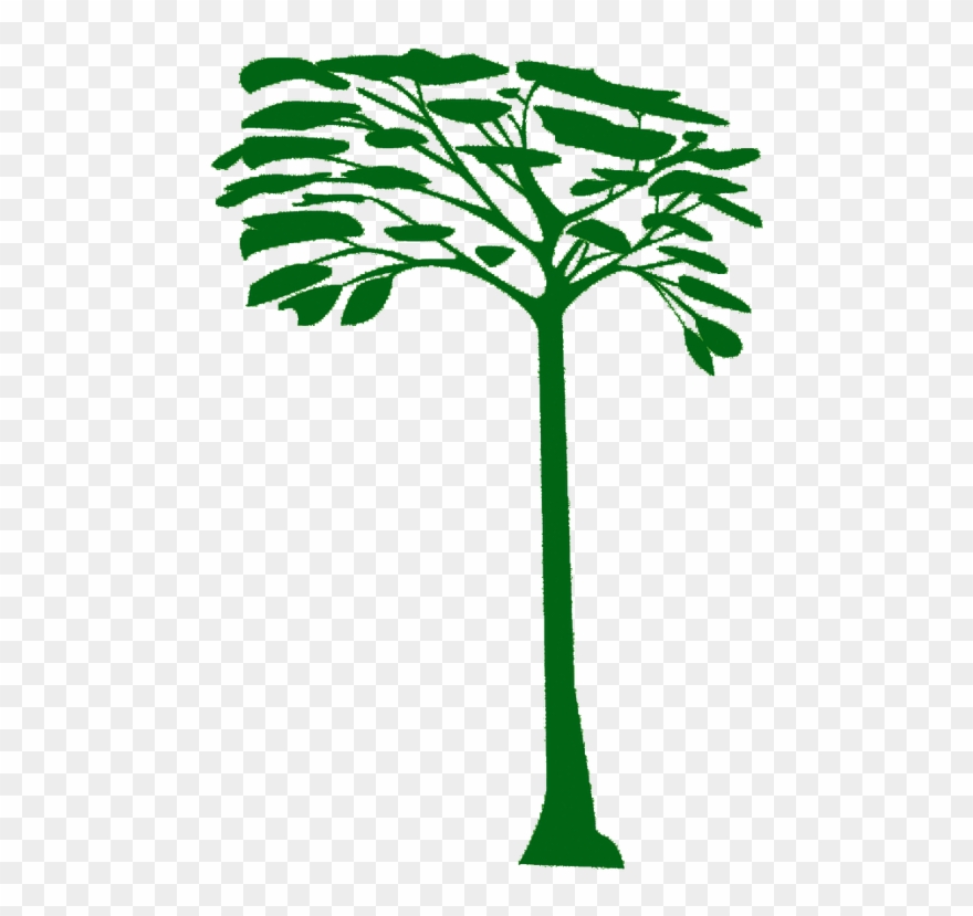 Nobody Likes Bananas Like A White Throated Quail Dove - South America Clipart