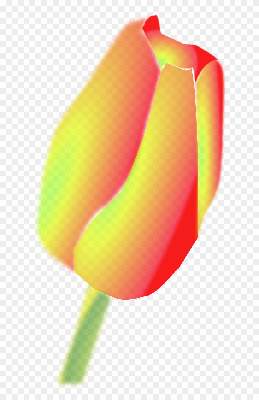 Tulip Flower Yellow Orange Png Image - Tulip Clip Art Transparent Png