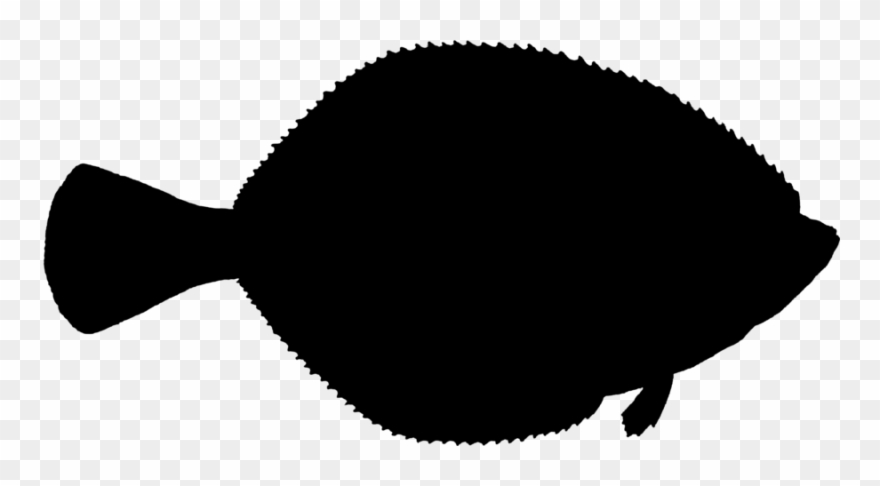 Fish Clipart Silhouette Flatfish Atlantic Halibut - Fish Silhouette Halibut - Png Download