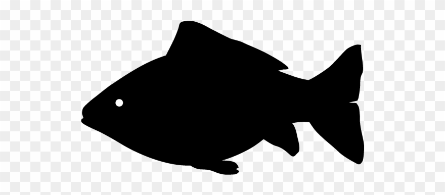 Animal Silhouette - Silhouette Fish Clipart - Png Download
