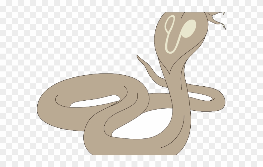 Python Clipart Hissing - Sketsa Gambar Ular Kobra - Png Download