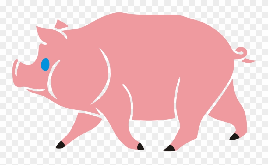 Pig Clip Art Pig Images Mycutegraphics Backgrounds - Domestic Pig - Png Download