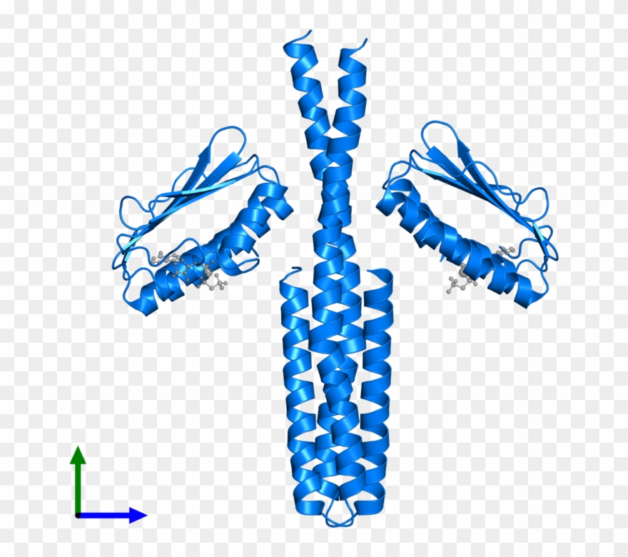 <div Class='caption-body'>pdb Entry 3gie Contains 2 - Desk Histidine Kinase Clipart