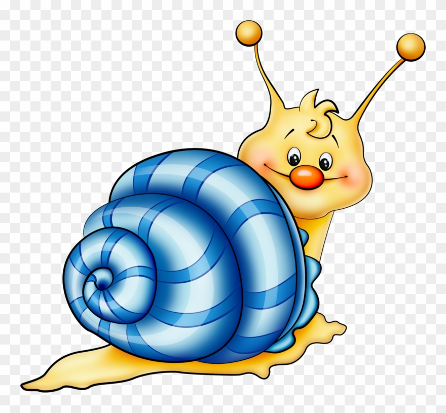 Cigalette - Dibujo De Un Caracol A Color Clipart