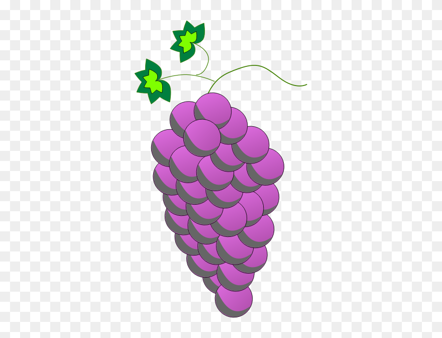 Common Grape Vine Wine Purple Grape Leaves - Grapes Lineart Clipart