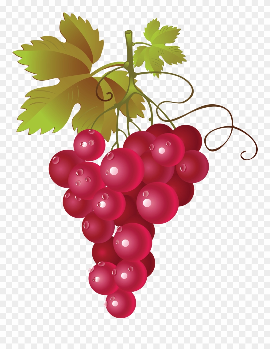 Images For Red Grapes Clipart - Red Grape Vector Png Transparent Png