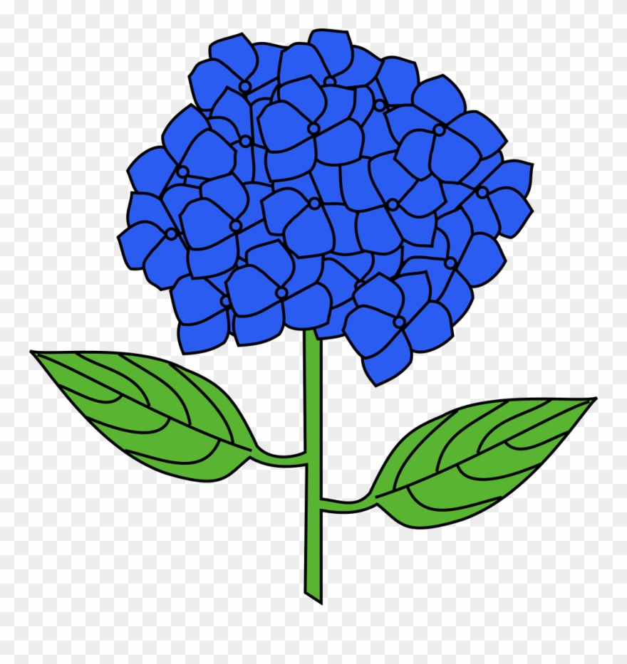 Hydrangea Clip Art - Hydrangea Svg - Png Download