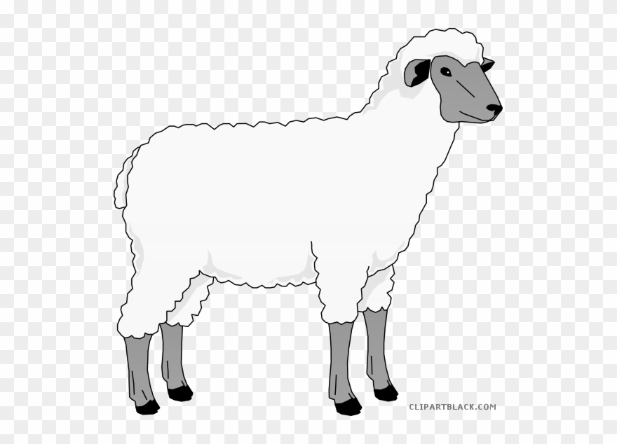 Sheep Clip Art Clipart Goat Merino Clip Art - Clipart Farm Animals Sheep - Png Download
