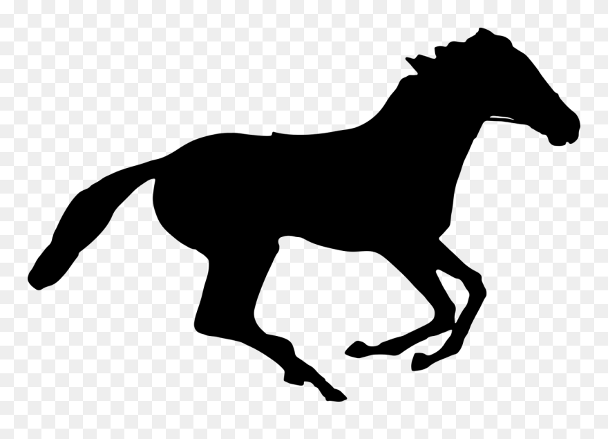 All Photo Png Clipart - Running Horse Silhouette Transparent