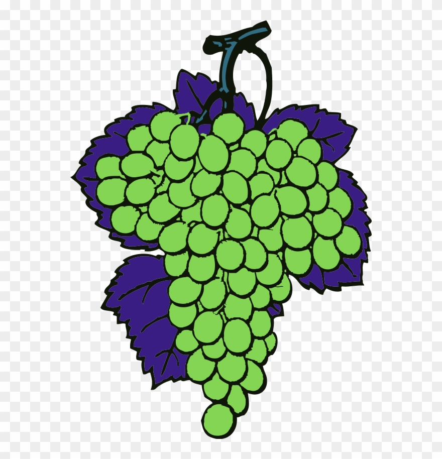 Grapes Vine Fruit - Desenho Cachos De Uvas Clipart