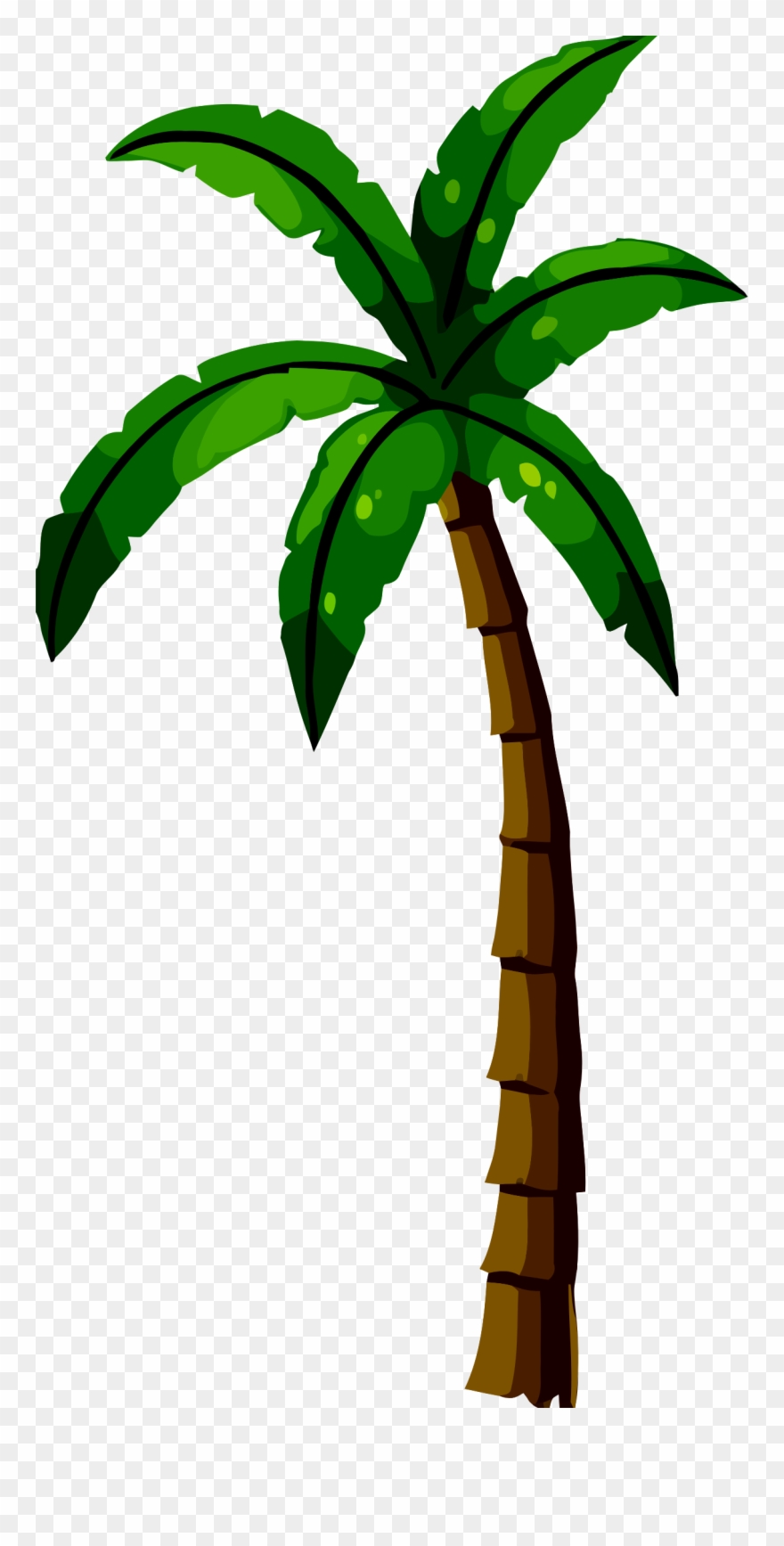 Png Free Stock Clipart Plant - Palm Fronds Clip Art Transparent Png