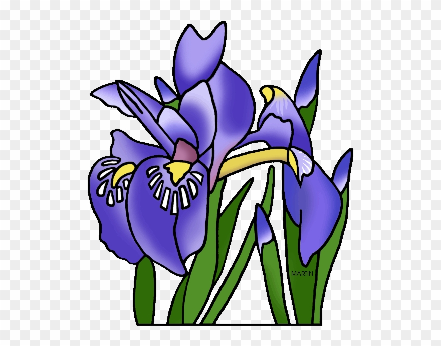 United States Clip Art By Phillip Martin, Michigan - Louisiana Iris Clip Art - Png Download