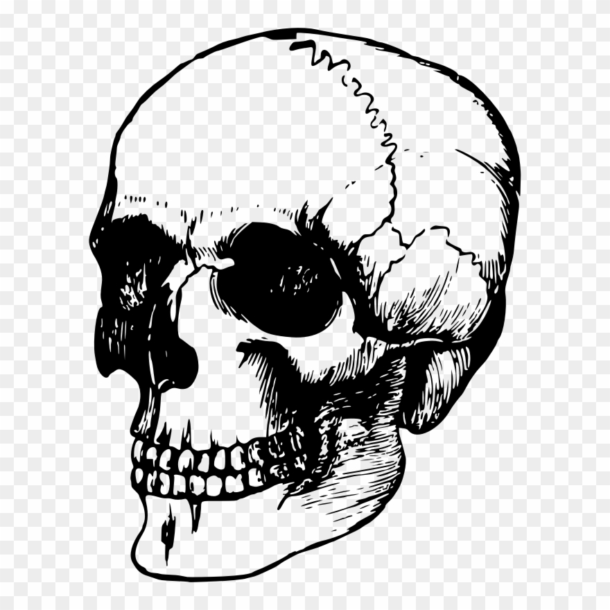 Calavera Human Skull Symbolism Art Human Skeleton - Dead Head Clipart