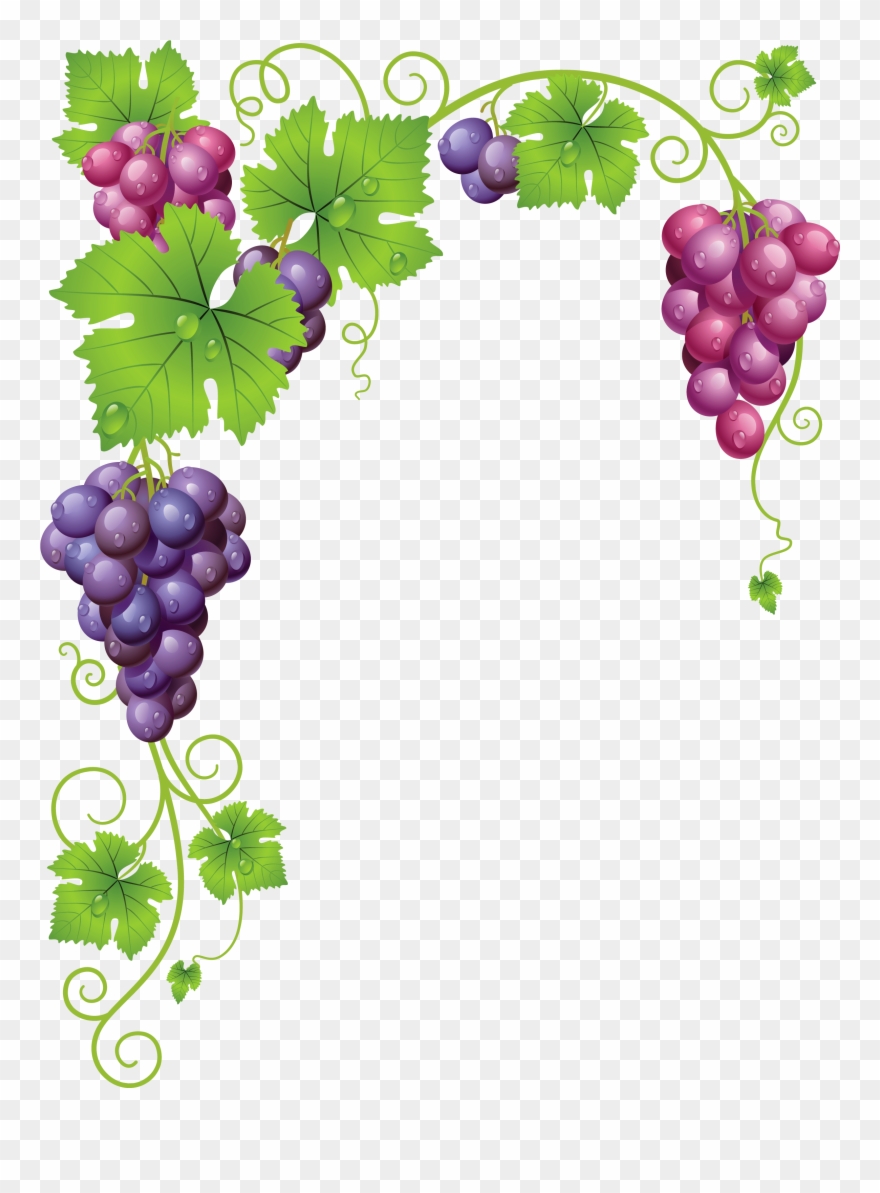Grape Vine Clipart Png - Grape Vine Frame Transparent Png