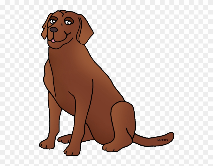 Labrador Clipart Puppy - Chesapeake Bay Retriever Clipart - Png Download