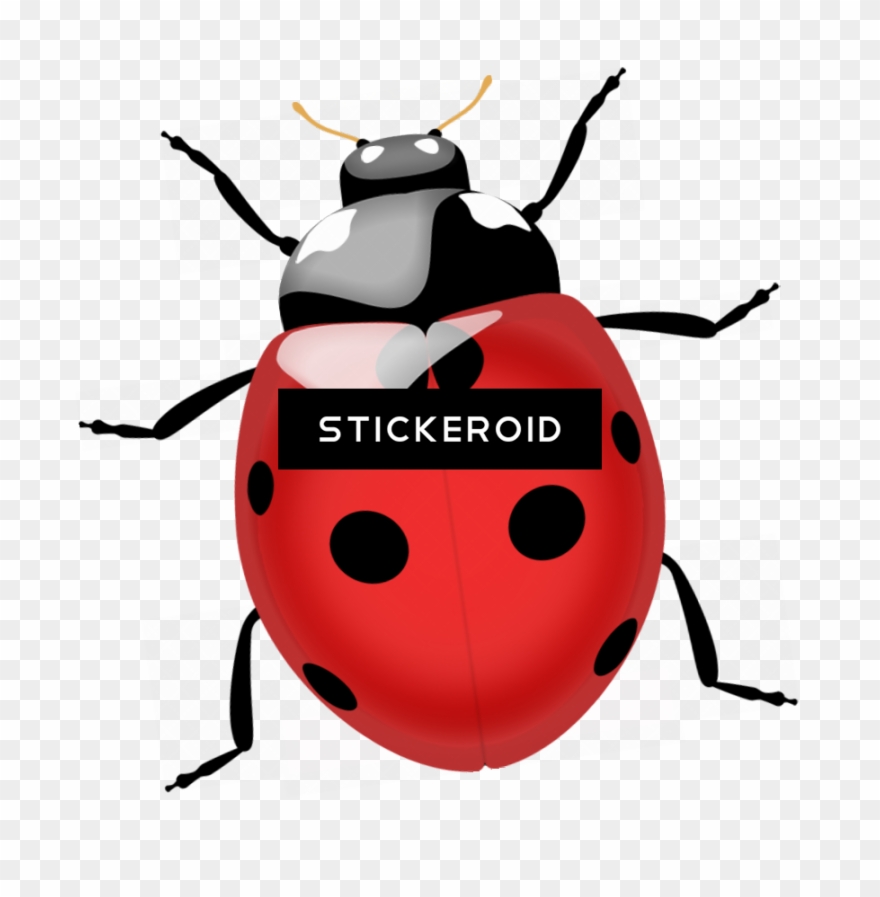 Termite Bugs Insects - Ladybug Png Clipart