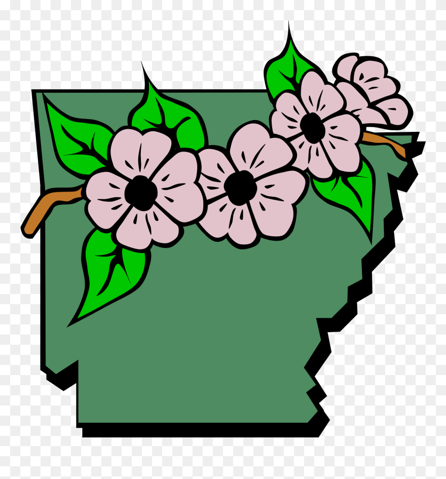Arkansas State Flower Clipart - Png Download