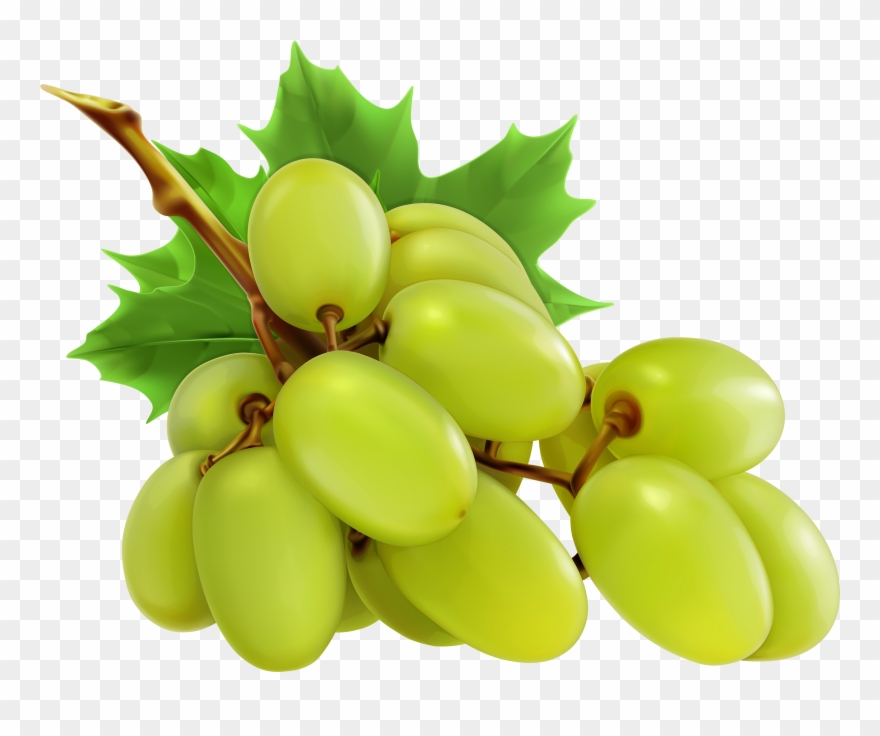 Grapes Clipart Red Grape - Grapes Png Transparent Png