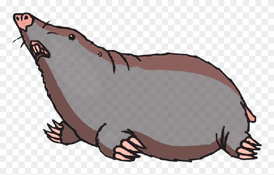 Ground Looking Animal Claws Blind Mole “ - Mole Clipart Png Transparent Png