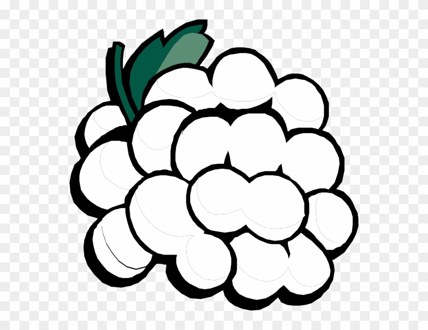 Annelisegrape Clip Art At Clker Com Vector - Grapes Png Clipart Transparent Png