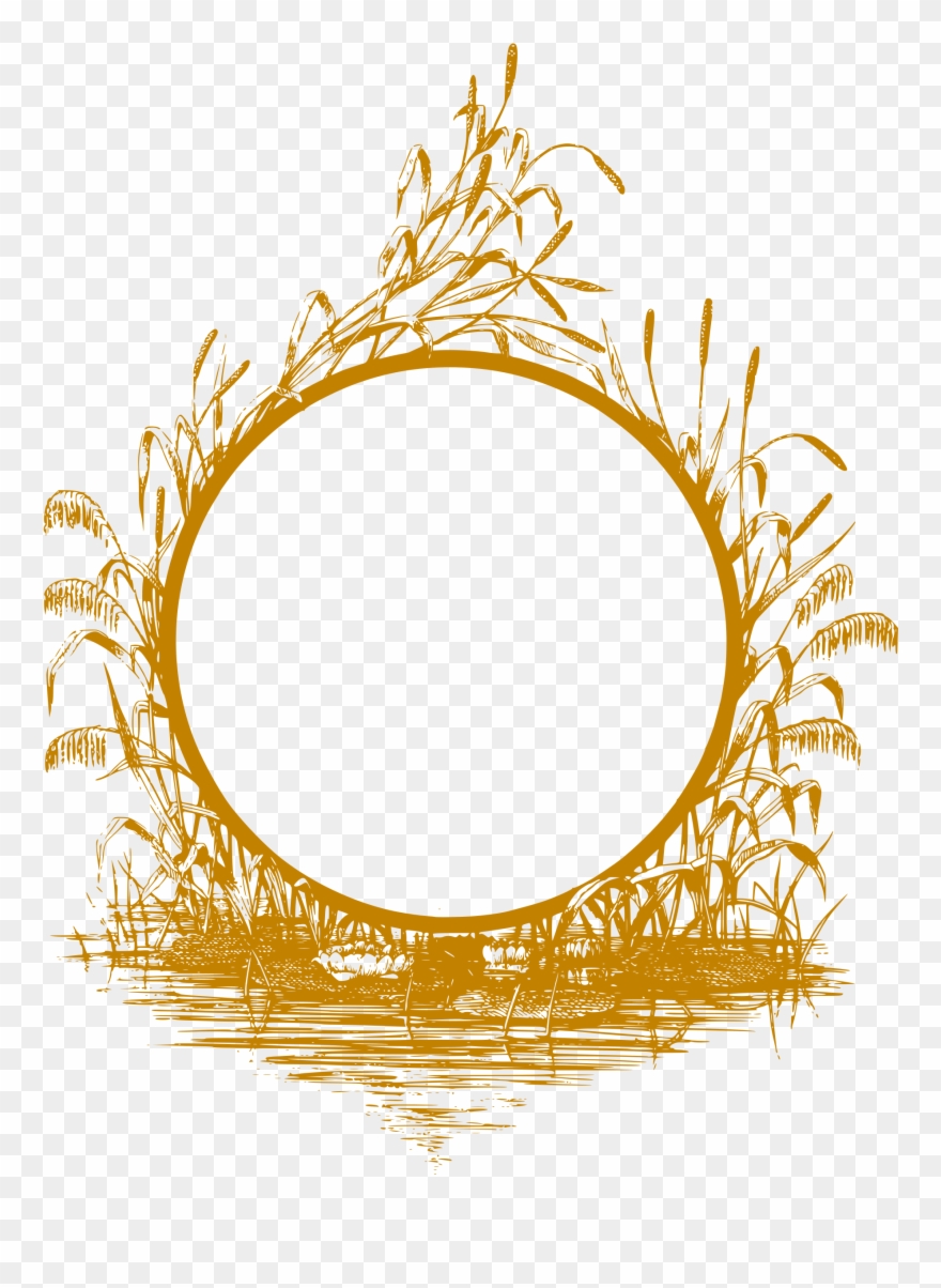 Big Image - Golden Frame Png Clipart