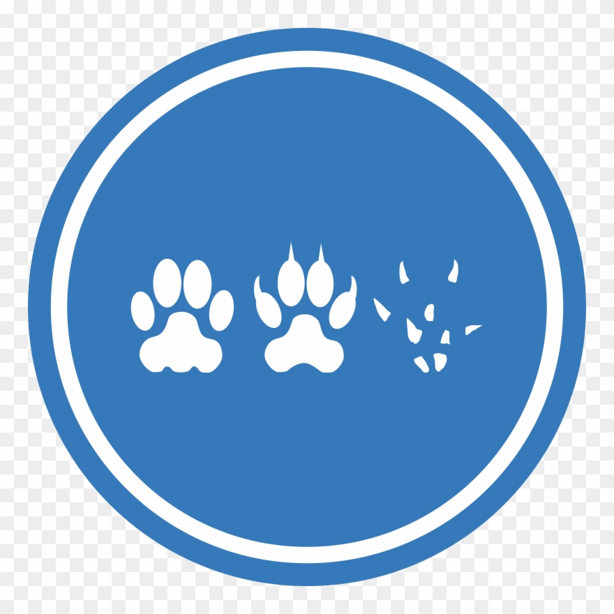 Cid Clip Art Download - World's Best Dog Grandpa T-shirt - Png Download