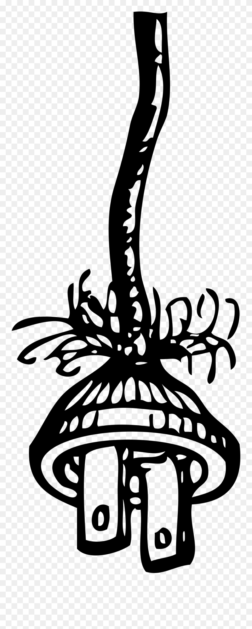 Plug - Electric Hazard Clipart - Png Download