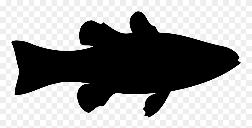 Silhouette Art Crappies Computer Icons Bass - Silhouette Fish Clipart - Png Download