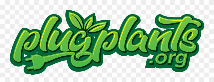 Plug Plants - Plants Clipart