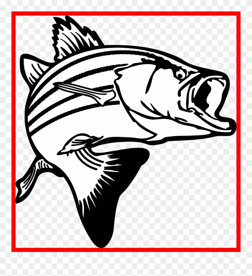 Banner Royalty Free Stock Bass Clipart Black And White - Largemouth Bass Bass Fish Clipart Transparent - Png Download