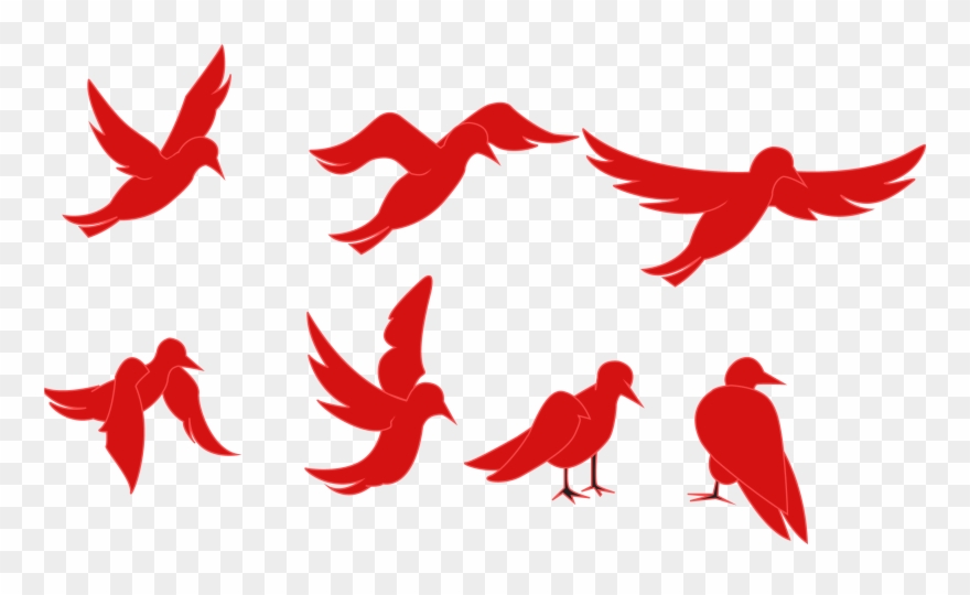 Adobe Edge Preview - Bird Flapping Wings Cartoon Clipart