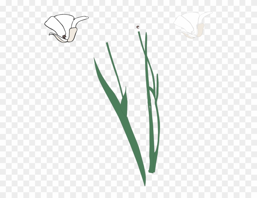 White Long Stem Flower Broke Apart Clip Art - Stem Of A Plant Clipart - Png Download