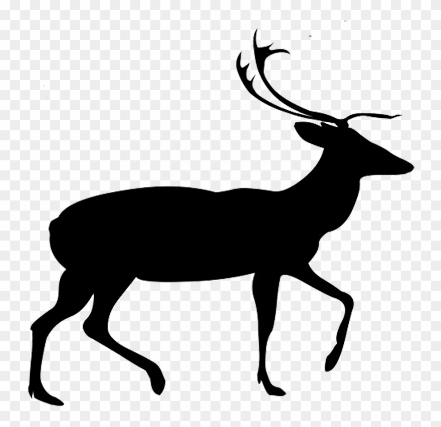 Vector Free Library Buck And Doe Clipart - Mouse Deer Silhouette Png Transparent Png